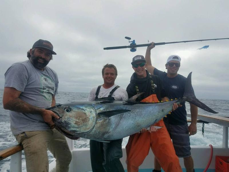 Crew hoisting a heavyweight bluefin on the rail