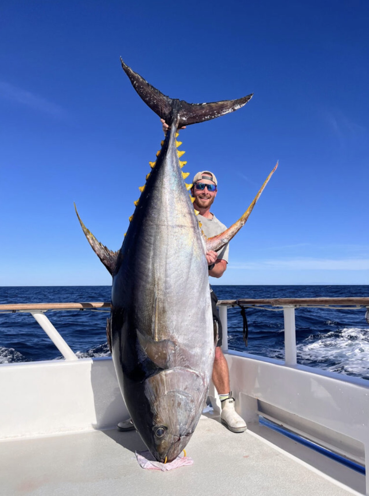Solo angler tail-wrapping a massive cow yellowfin offshore