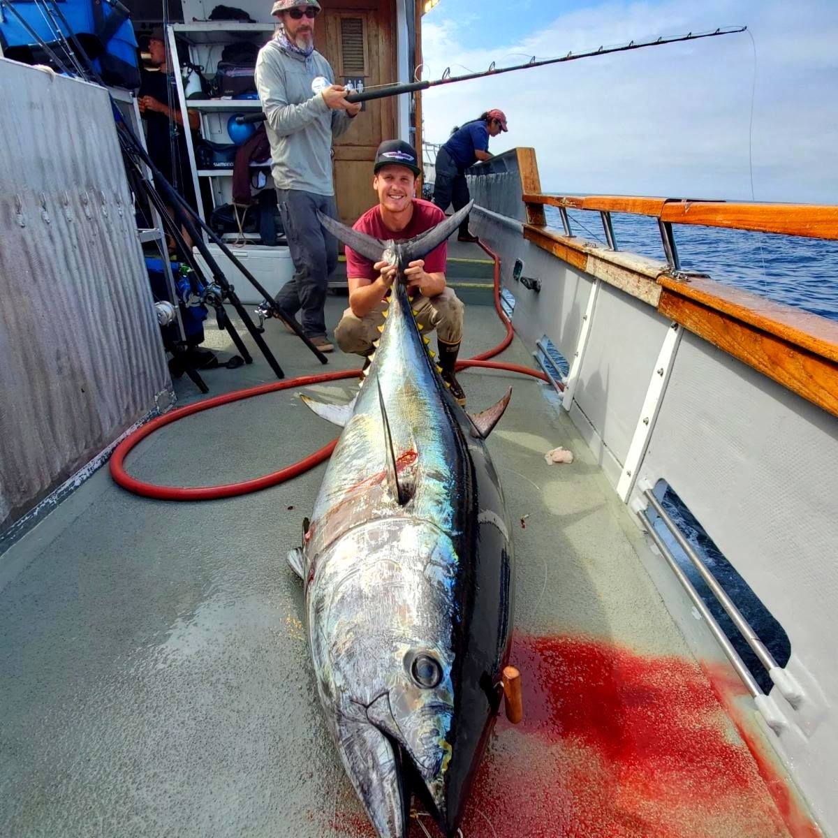 Cow bluefin laid out on deck after a long battle